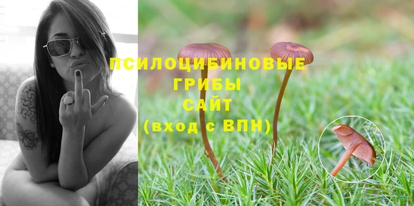 альфа пвп Верхний Тагил